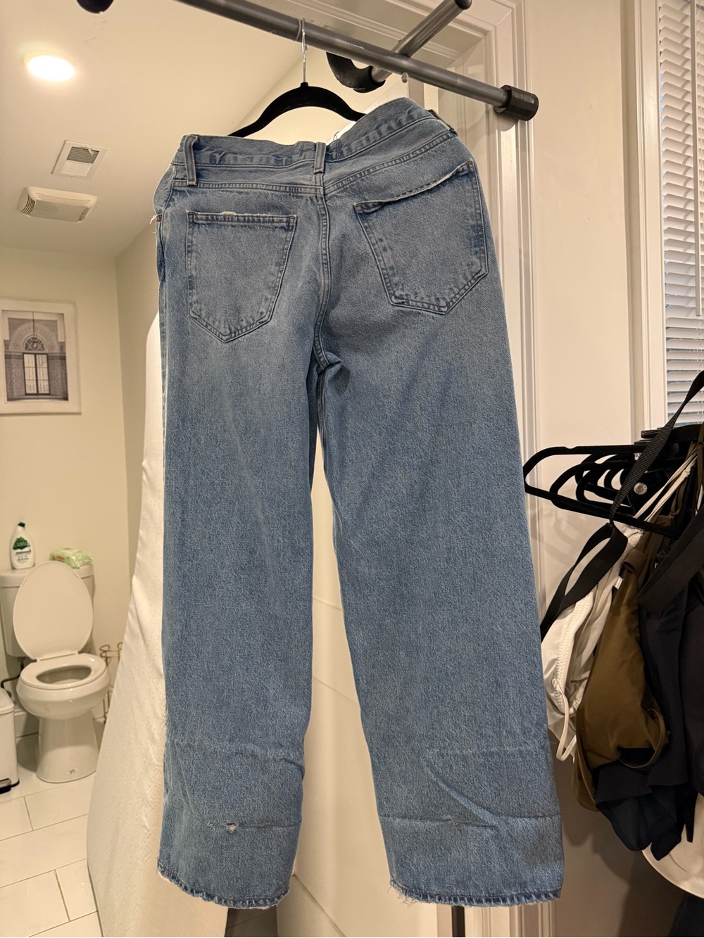 Agolde Low Rise Baggy Jeans in Libertine - Picture 3 of 10